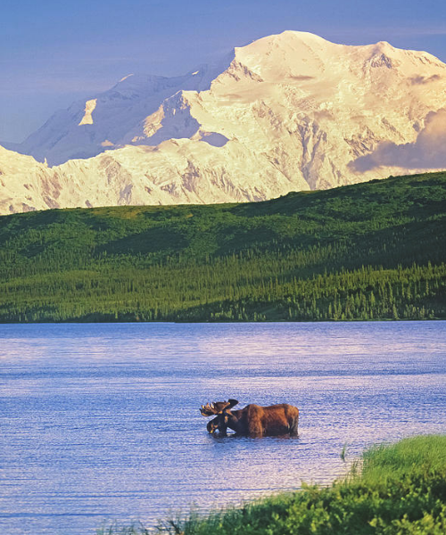 wild alaska tours